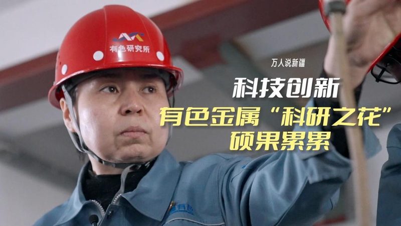 供应链管理软件：揭秘报价单背后的关键因素